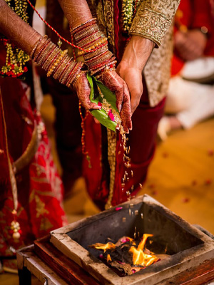 Wedding Highlights